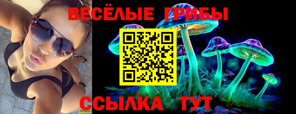 Коломна  Псилоцибиновые грибы мицелий  Вход с VPN 